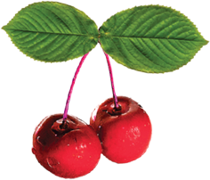 Cerezas en almíbar rojas